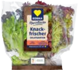 Kopfsalat, mit Ballen, aus Belgien im Angebot bei EDEKA in Greifswald Kopfsalat, mit Ballen, aus Belgien Angebote bei EDEKA Greifswald für 0,99 €