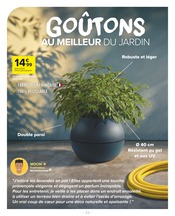 Plante Verte Angebote im Prospekt "GOÛTEZ-MOI ÇA !" von Carrefour Market auf Seite 22