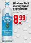 Oberbayrischer Gebirgsenzianschnaps Angebote von Münchner Kindl bei Trinkgut Mainz für 8,99 €