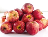 Promo Pomme gala à 1,50 € dans le catalogue Supermarchés Match à Tourcoing