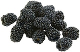 Brombeeren im REWE Prospekt Brombeeren von im aktuellen REWE Prospekt für 1,49 €