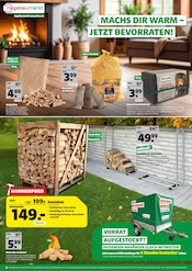 Kaminholz im Hagebaumarkt Prospekt in München Aktueller Hagebaumarkt Prospekt mit Kaminholz, "HERBSTGEFÜHLE ZUM SPARPREIS", Seite 8