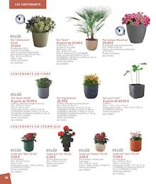 Offre Arizona dans le catalogue Jardiland du moment à la page 86