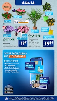 Farbe Angebot im aktuellen ALDI SÜD Prospekt auf Seite 17