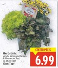Herbstmix im Angebot bei E center in Falkensee Herbstmix Angebote bei E center Falkensee für 6,99 €