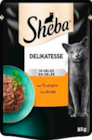 Delikatesse mit Huhn Angebote von Sheba bei EDEKA Flensburg für 0,49 €