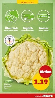 Blumenkohl im Penny Prospekt "Wer günstig will, muss Penny." mit 44 Seiten (Hamburg)