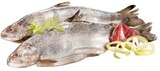 Frische Forelle im Angebot bei REWE in Erkrath Frische Forelle Angebote bei REWE Erkrath für 1,69 €