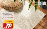 Aktuelles Outdoor Teppich Angebot bei REWE in Kiel ab 7,99 €