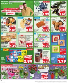 Hackfleisch im aktuellen Kaufland Prospekt (Karlsruhe) Hackfleisch im Kaufland Prospekt "Aktuelle Angebote" mit 32 Seiten (Karlsruhe)