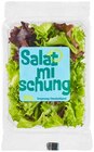 Salatmischung Angebote bei REWE Offenbach für 0,99 €
