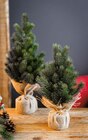 MINI-BAUM IM JUTE-SACK Angebote bei porta Möbel Kronberg für 6,99 €