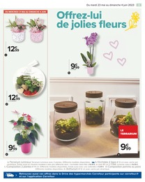 Prix et réduction Bouquet De Fleurs dans le prospectus Carrefour en cours Offre Bouquet De Fleurs dans le catalogue Carrefour du moment à la page 3