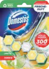 WC Stein Power 5 Angebote von Domestos bei Marktkauf Greifswald für 1,29 €