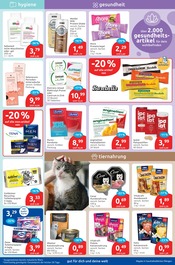 Aktueller budni Prospekt mit Bekleidung, "drogeriemarkt", Seite 5