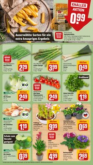 Spargel im aktuellen REWE Prospekt (Wolfsburg) Spargel im REWE Prospekt "Dein Markt" mit 34 Seiten (Wolfsburg)