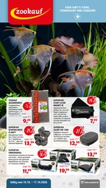 Aquarium im Zookauf Prospekt in Neubrandenburg Aktueller Zookauf Prospekt mit Aquarium, "AKTUELLE ANGEBOTE", Seite 1