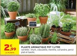 Plante aromatique pot 1 litre dans le catalogue Intermarché Hyper