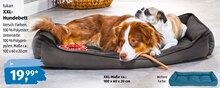 XXL-Hundebett bei ALDI SÜD in Böblingen XXL-Hundebett im Angebot bei ALDI SÜD Böblingen für 19,99 €