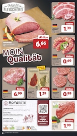 Bratwurst im famila Nordwest Prospekt in Wilhelmshaven Aktueller famila Nordwest Prospekt mit Bratwurst, "Markt - Angebote", Seite 6