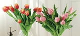 Intermarché Contact Seloncourt - Promo Bouquet 10 Tulipes Promo Bouquet 10 Tulipes à 4,99 € dans le catalogue Intermarché Contact à Seloncourt