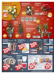 Zimmerpflanzen im V-Markt Prospekt Zimmerpflanzen im V-Markt Prospekt "V-Markt einfach besser einkaufen" auf Seite 22