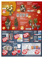 Aktueller V-Markt Prospekt mit Blumen, "V-Markt einfach besser einkaufen", Seite 22