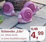 Schnecke "Lilo" Angebote bei Garten-Center Nordharz GmbH & Co. KG Hannover für 4,99 €