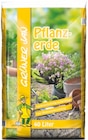 Aktuelles Pflanzerde Angebot bei Thomas Philipps in Herne ab 3,66 €