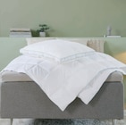 BEERENBERG Synthetik-Bettdecke 135x200 cm im Angebot bei JYSK in Gladbeck BEERENBERG Synthetik-Bettdecke 135x200 cm Angebote von KRONBORG bei JYSK Gladbeck für 16,50 €
