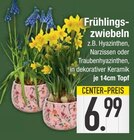 Frühlingszwiebeln Angebote bei E center Rosenheim für 6,99 €