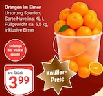 Orangen im Eimer bei GLOBUS im Prospekt "" für 3,99 €