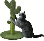 Kratzbaum Angebote von Zoofari bei Lidl Ettlingen für 9,99 €