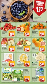 Ähnliche Angebote wie Vogelkäfig im Prospekt "Dein Markt" auf Seite 6 von REWE in Neu-Ulm