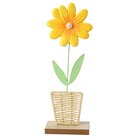 Deko-Aufsteller Blume mit Keramikblüte im aktuellen Ernstings family Prospekt für 5,99 €