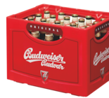 Kasten 20 x 0.5 l bei Getränkeland im Schwaan Prospekt für 12,99 €