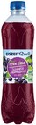Feine Limo Angebote von Eiszeit Quell bei REWE Saarbrücken für 0,79 €