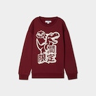 Promo Sweat oversize manches longues bordeaux garçon à 5,00 € dans le catalogue La Halle à Pessac