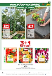 Offre Potager dans le catalogue Carrefour Market du moment à la page 3