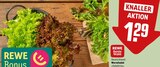 Wurzelsalat im Angebot bei REWE in St. Ingbert Wurzelsalat Angebote von REWE Beste Wahl bei REWE St. Ingbert für 1,29 €