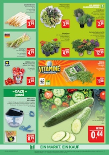 Rosmarin im Marktkauf Prospekt "AUSWAHL RIESIG, PREISE NIEDRIG" mit 44 Seiten (Leipzig)