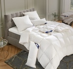 Bettzeug von Heidelberger für 39,95 € bei Möbel Kraft im Angebot Bettzeug von Heidelberger im aktuellen Möbel Kraft Prospekt