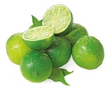 REWE Werne - Bio Limette Angebot im Prospekt Bio Limette bei REWE im Werne Prospekt für 0,39 €