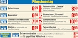 EDEKA Drochtersen - Gastronomie Angebot im Prospekt Gastronomie bei EDEKA im Drochtersen Prospekt für 6,50 €
