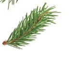 Lammfilets Angebote von Deluxe bei Lidl Gummersbach für 12,80 €