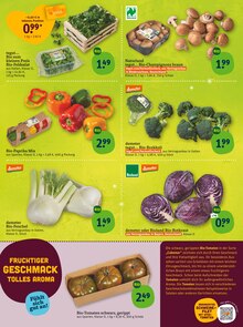 Salat im tegut Prospekt "tegut… gute Lebensmittel" mit 29 Seiten (Frankfurt (Main))