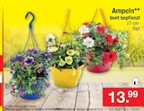 Angebot im Zimmermann Celle Prospekt Zimmermann Celle Prospekt mit im Angebot fĂŒr 13,99 âŹ