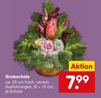 Grabschale im Netto Marken-Discount Prospekt Grabschale im aktuellen Netto Marken-Discount Prospekt für 7,99 €