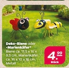 Deko-Biene oder -Marienkäfer im aktuellen Netto mit dem Scottie Prospekt