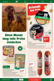 Leber Angebot & Preis im aktuellen Fressnapf Prospekt Leber Angebot im aktuellen Fressnapf Prospekt auf Seite 4